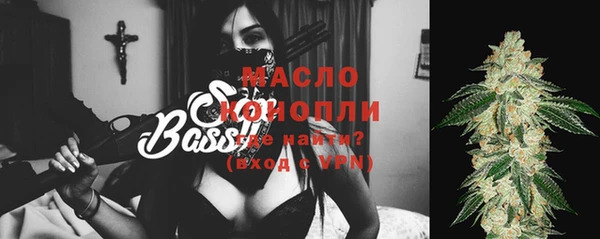 гидра Медвежьегорск