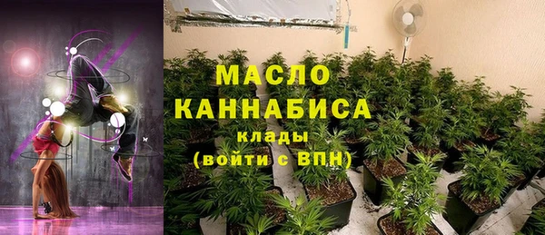 гидра Медвежьегорск