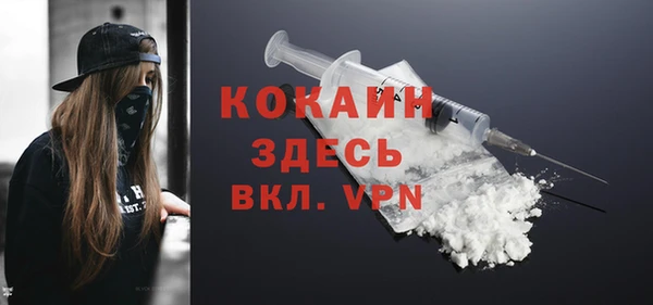гидра Медвежьегорск