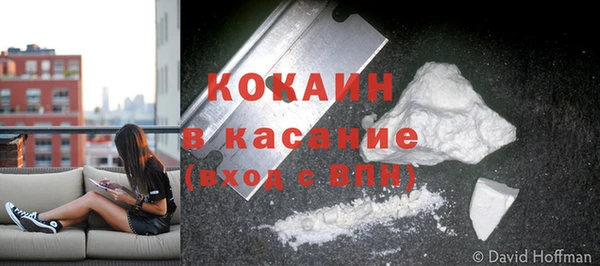 дживик Магас