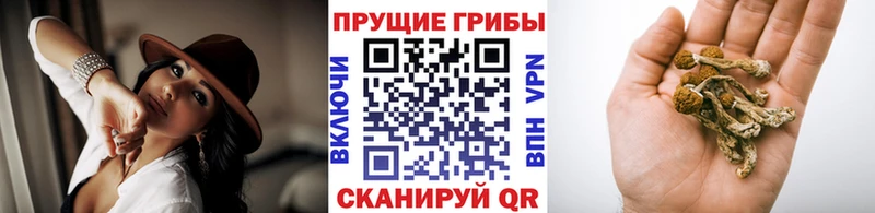 как найти наркотики  Назарово  Галлюциногенные грибы мухоморы 