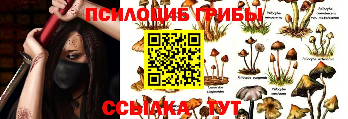 Псилоцибиновые грибы MAGIC MUSHROOMS Назарово
